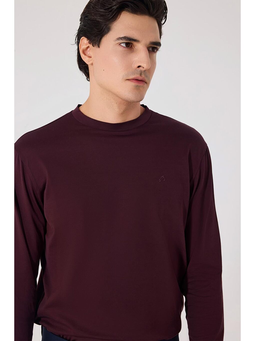 Bordo Regular Fit %100 Pamuk Bisiklet Yaka Erkek Sweatshirt-1