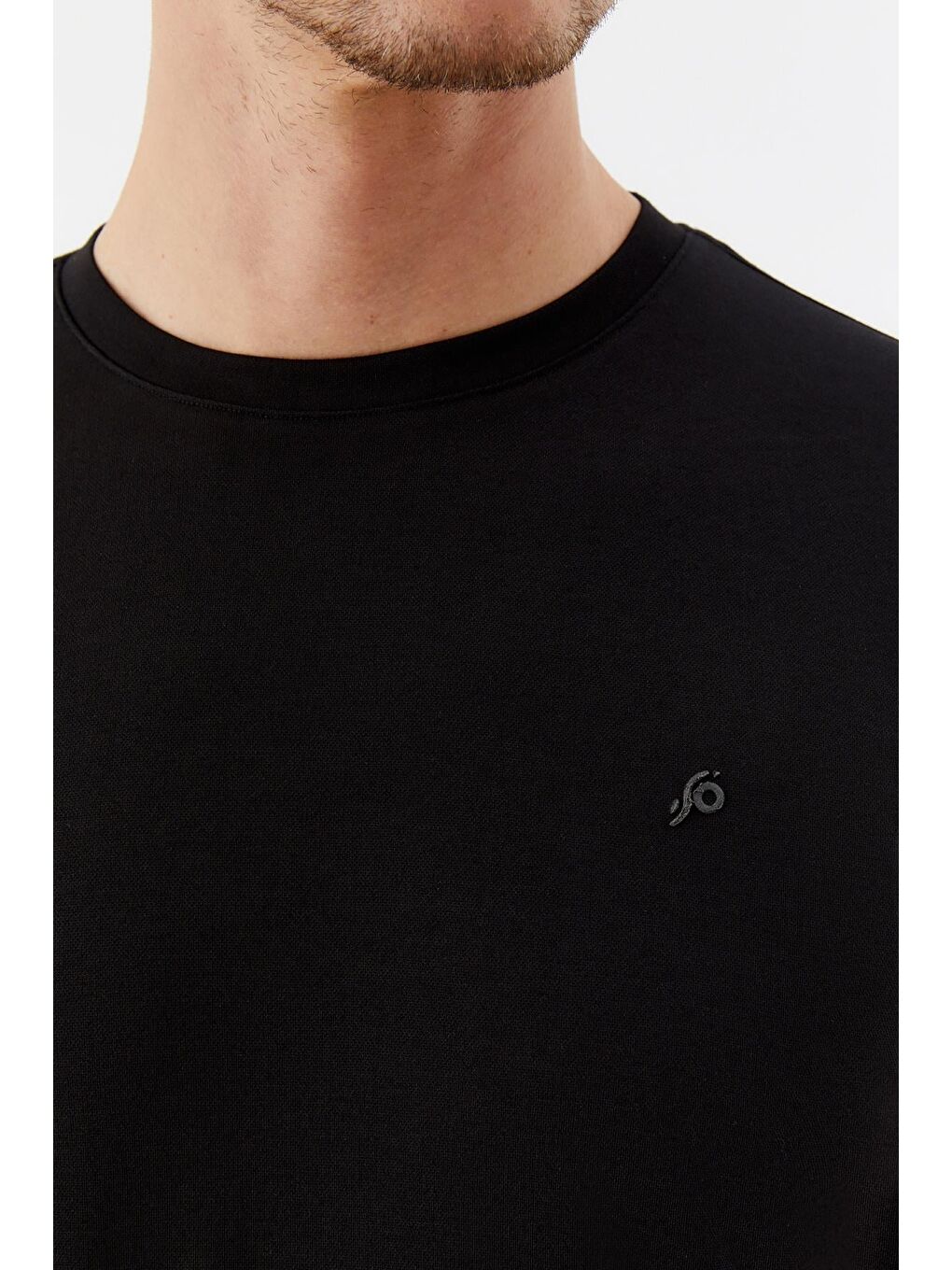 Siyah Regular Fit Bisiklet Yaka Erkek T-Shirt-3