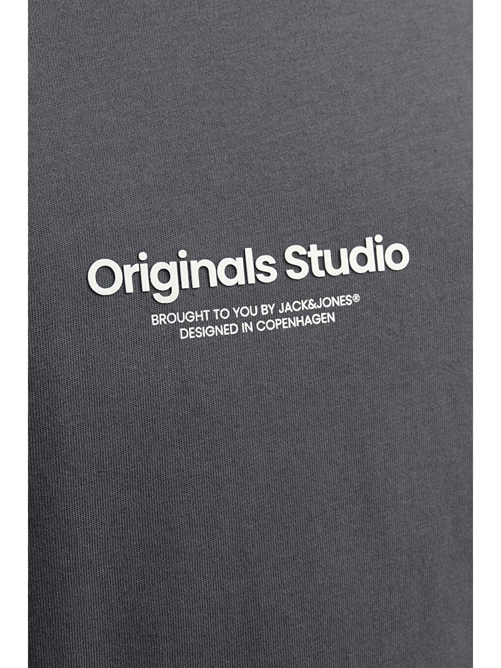 Gri Jorvesterbro Pamuklu Bisiklet Yaka Relaxed Fit Erkek %100 Pamuk Tişört 12240121-5