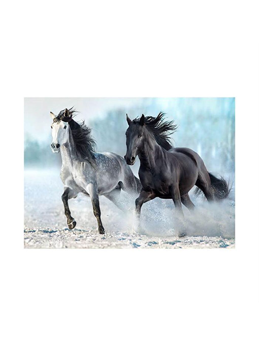 Blue Focus Karışık 1000 Parça Puzzle Horses (Atlar) - 1