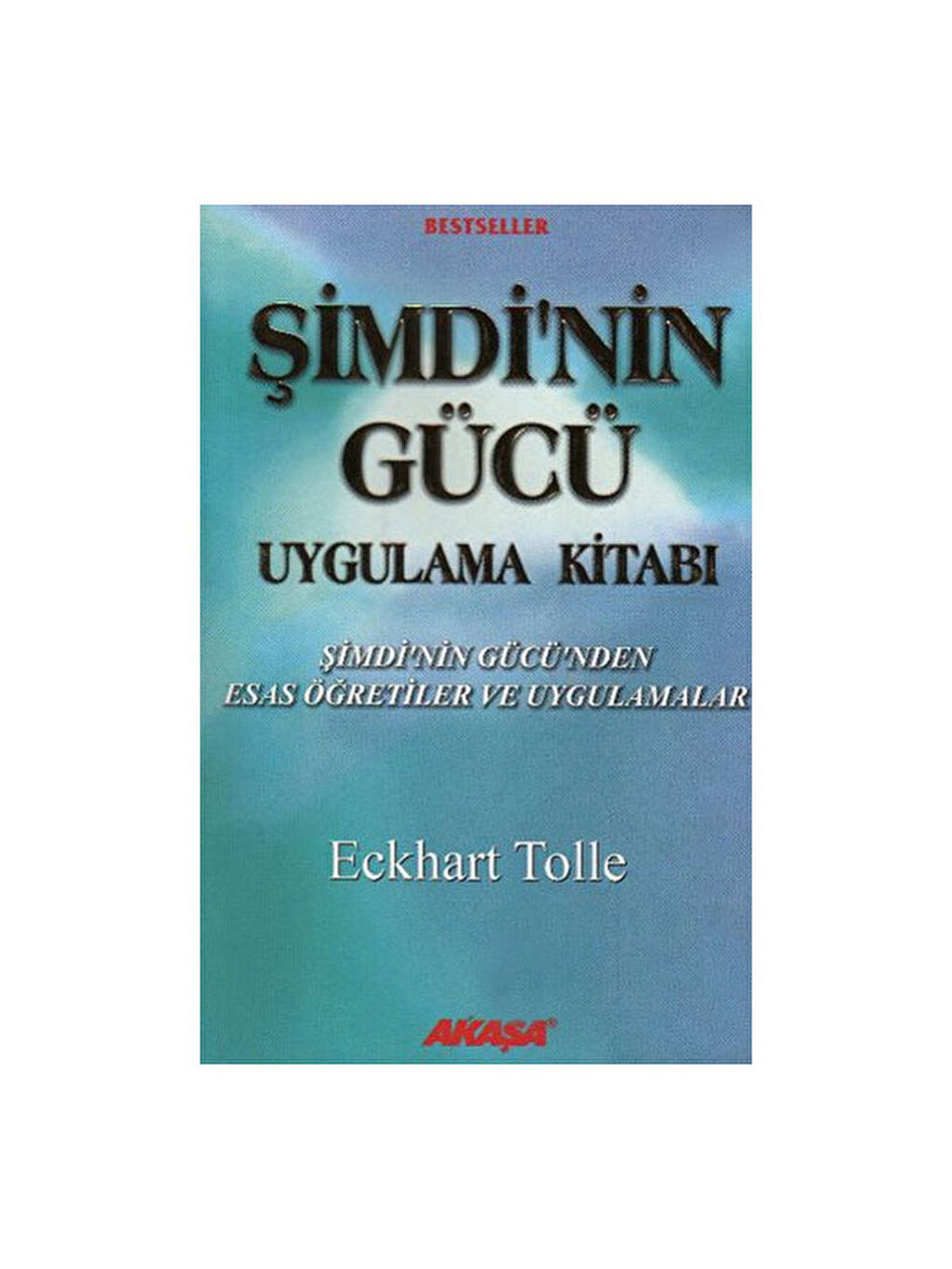 Şimdinin Gücü Uygulama Kitabı