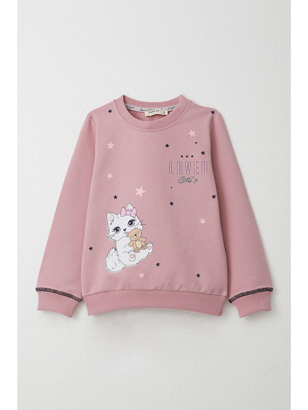 Pembe Kız Çocuk Eşofman Takım Sevimli Kedicik Baskılı Gülkurusu (1.5-4 Yaş)-1