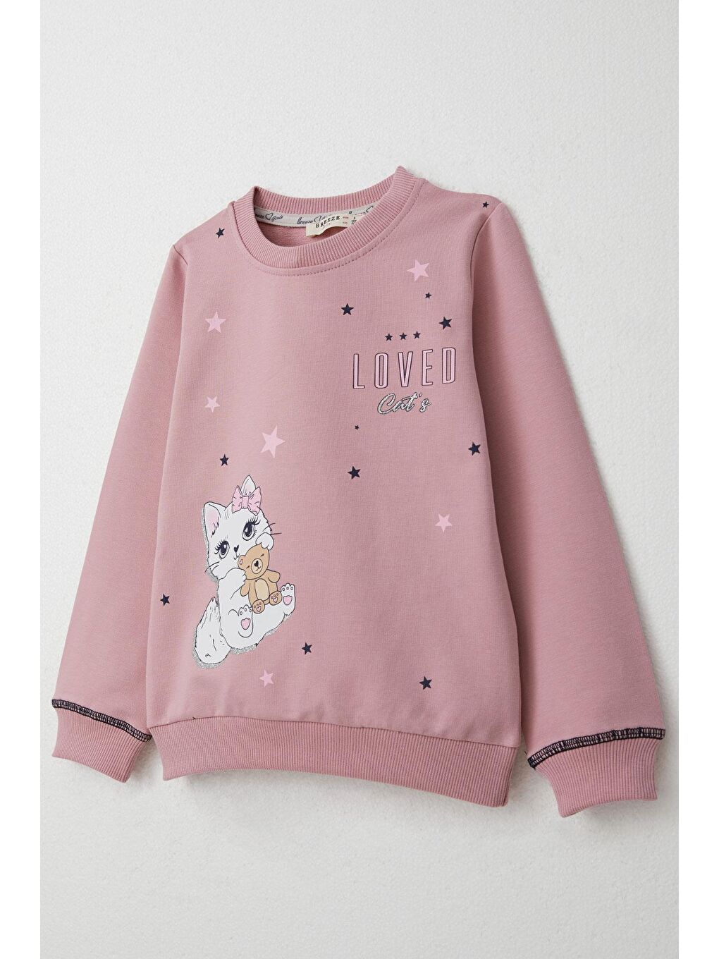 Pembe Kız Çocuk Eşofman Takım Sevimli Kedicik Baskılı Gülkurusu (1.5-4 Yaş)-5