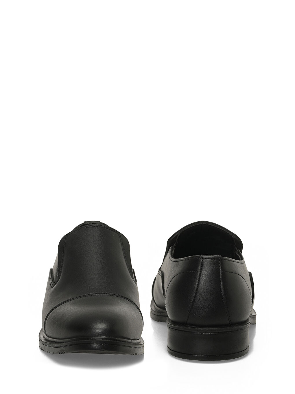 MAINE 6FX Siyah Erkek Makosen-4