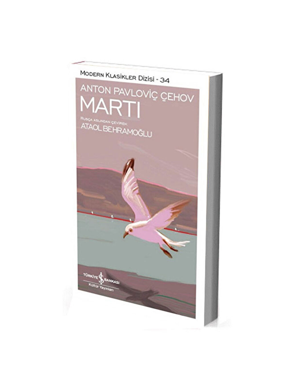 Modern Klasikler 34 Martı Anton Çehov