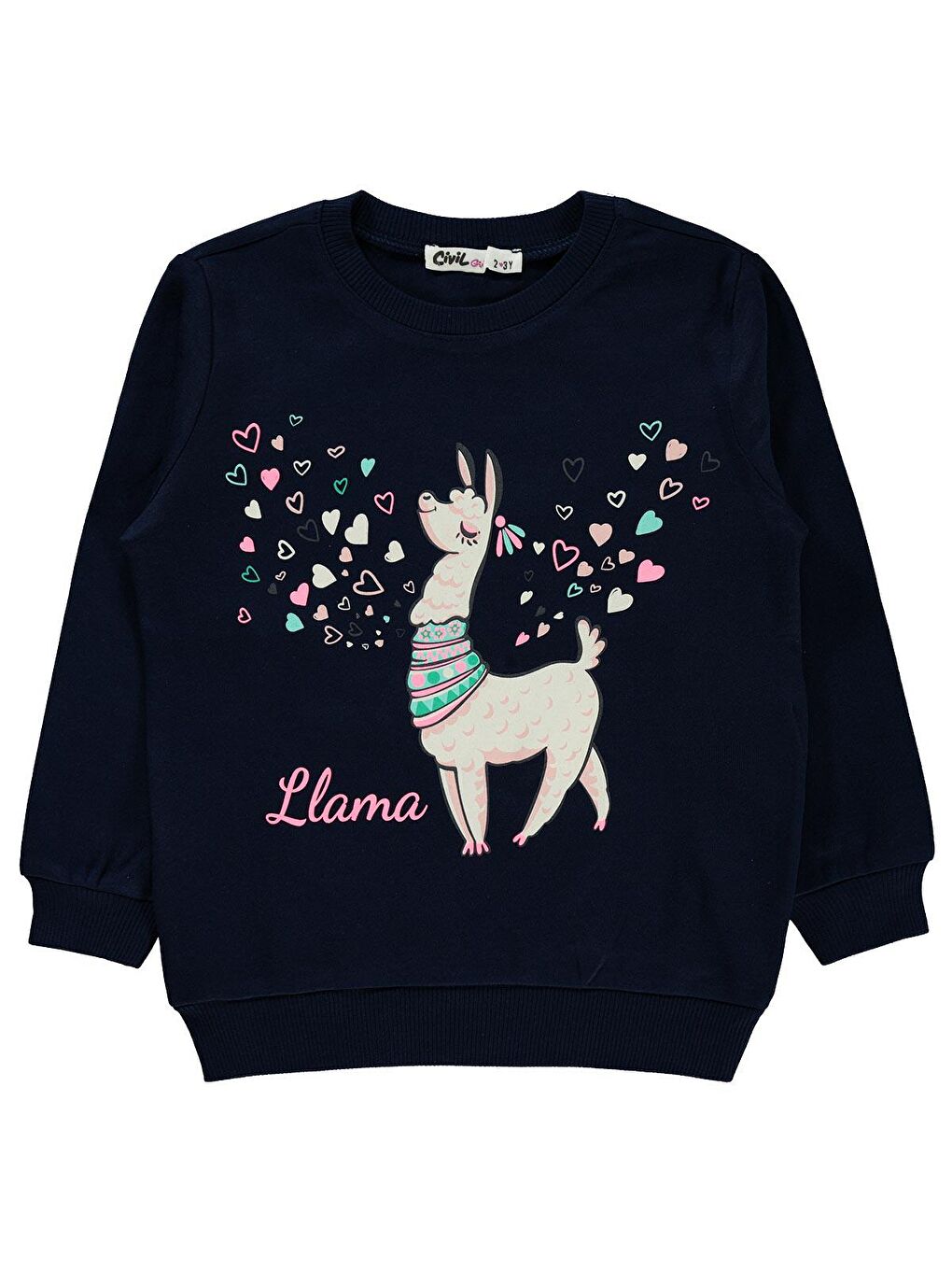Girls Kız Çocuk Sweatshirt 2-5 Yaş Lacivert