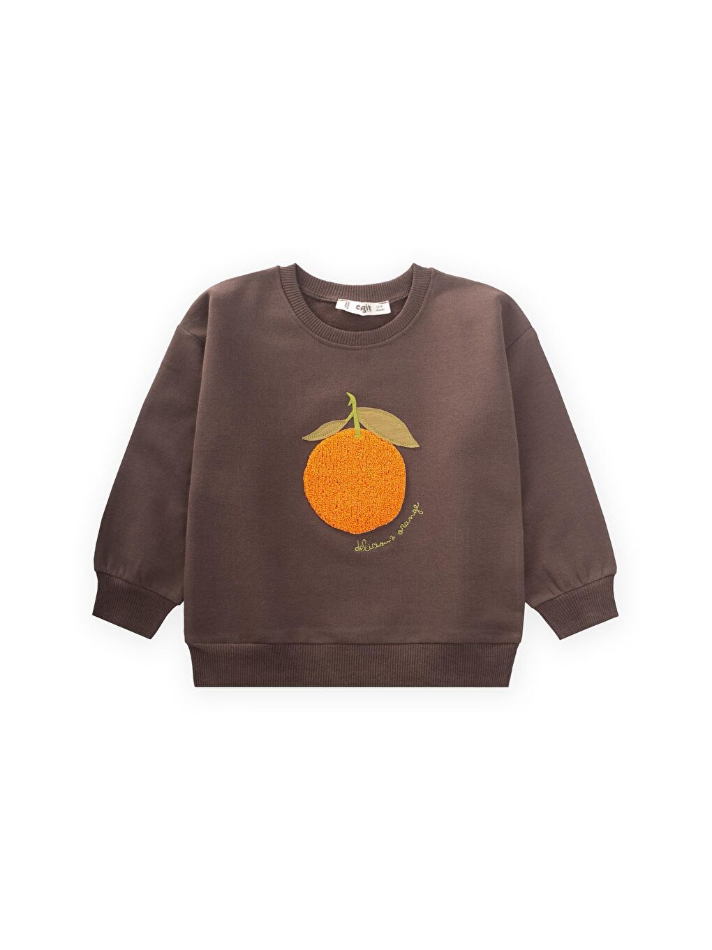 Süzene Nakışlı Sweatshirt 1-7 Yaş Kahverengi