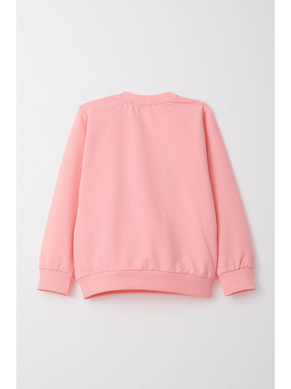 Kız Bebek Eşofman Takım Prenses Yazı Nakışlı Pembe (9 Ay-3 Yaş)-3