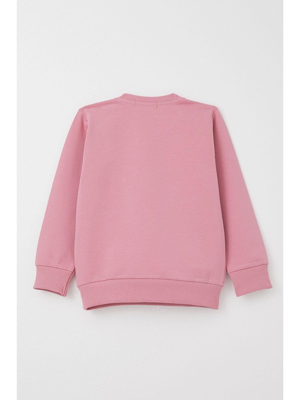 Pembe Kız Bebek Eşofman Takım Sevimli Ayıcık Nakışlı Çiçekli Gülkurusu (9 Ay-3 Yaş)-3