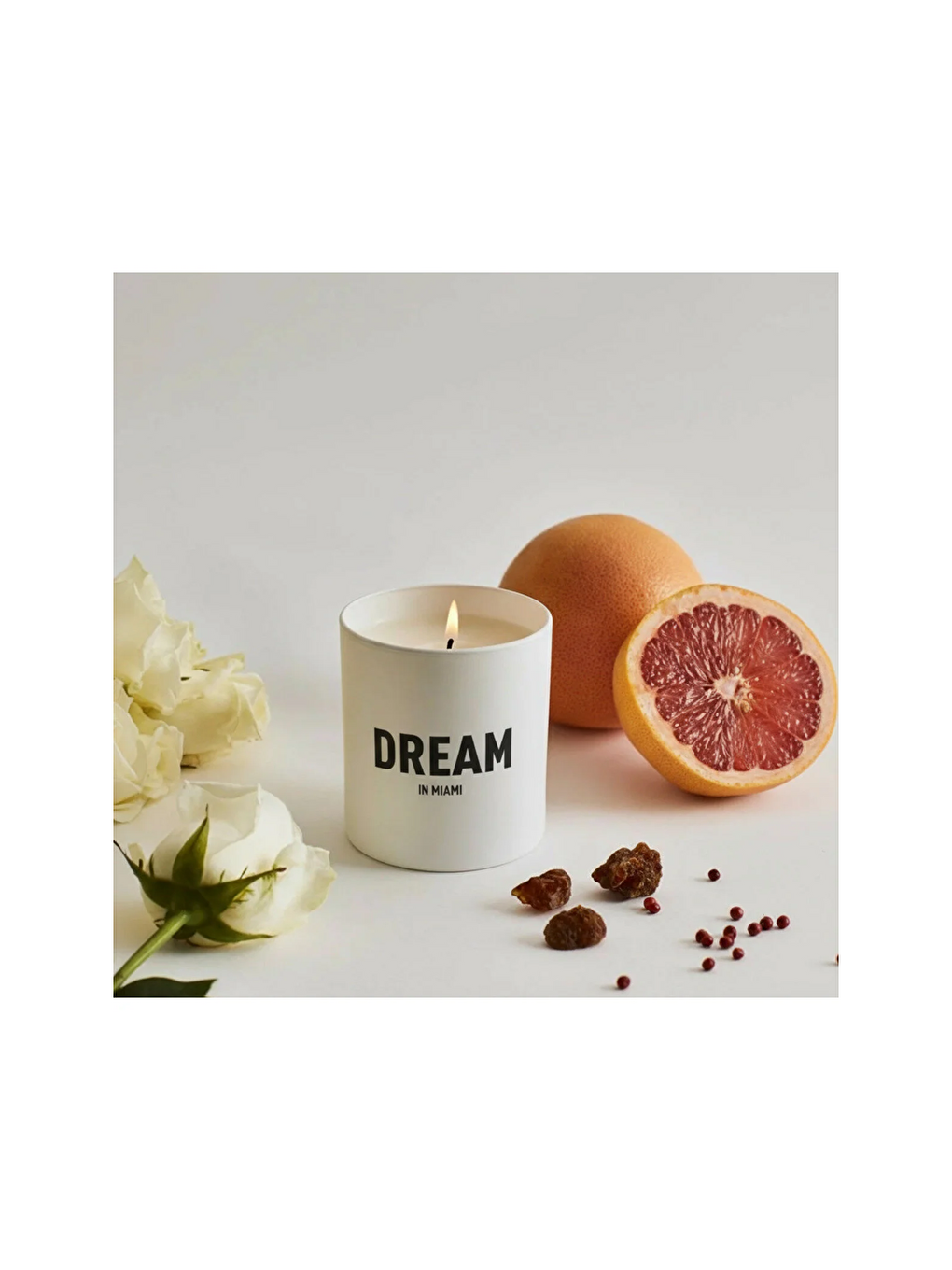 Renksiz Dream In Miami Mum (EGY0023)-1