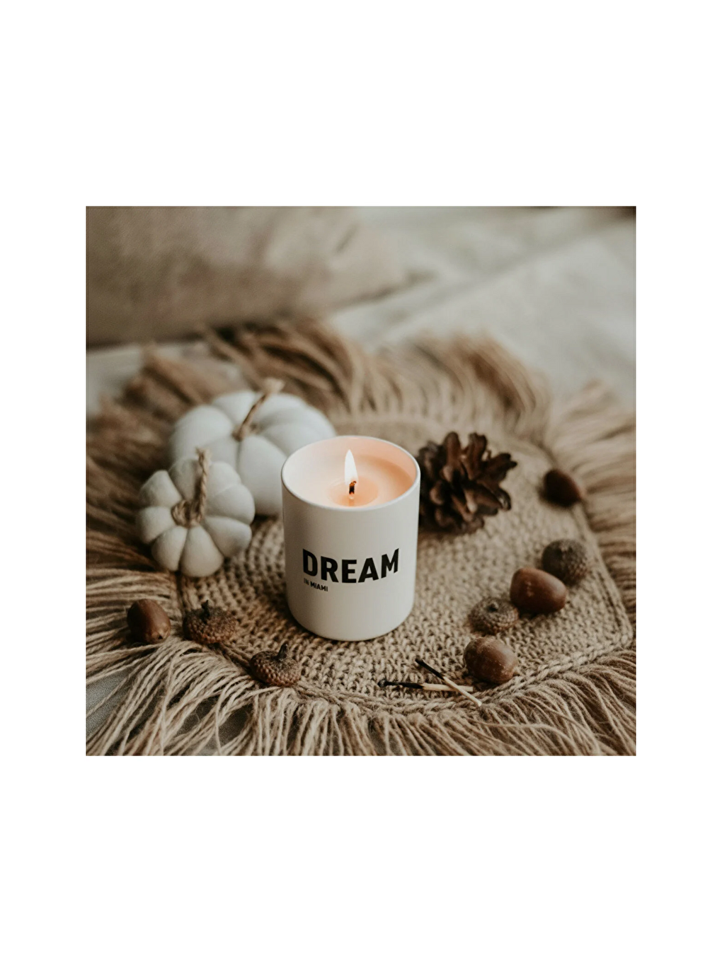 Renksiz Dream In Miami Mum (EGY0023)-2