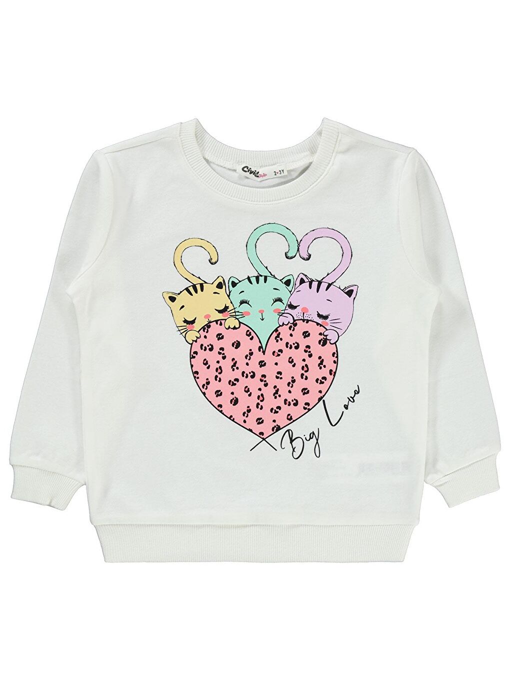 Girls Kız Çocuk Sweatshirt 2-5 Yaş Ekru