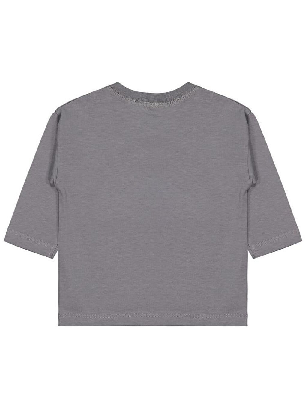 Baby Basic 6-18 Ay Sweatshirt - Gri 9-12 Ay-1