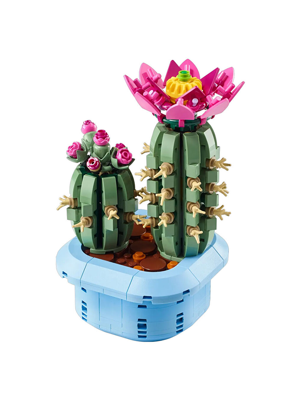 Botanicals Çiçekli Kaktüs 11509-1