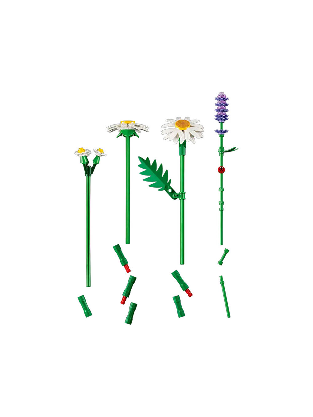 Botanicals Papatyalar 11508-3