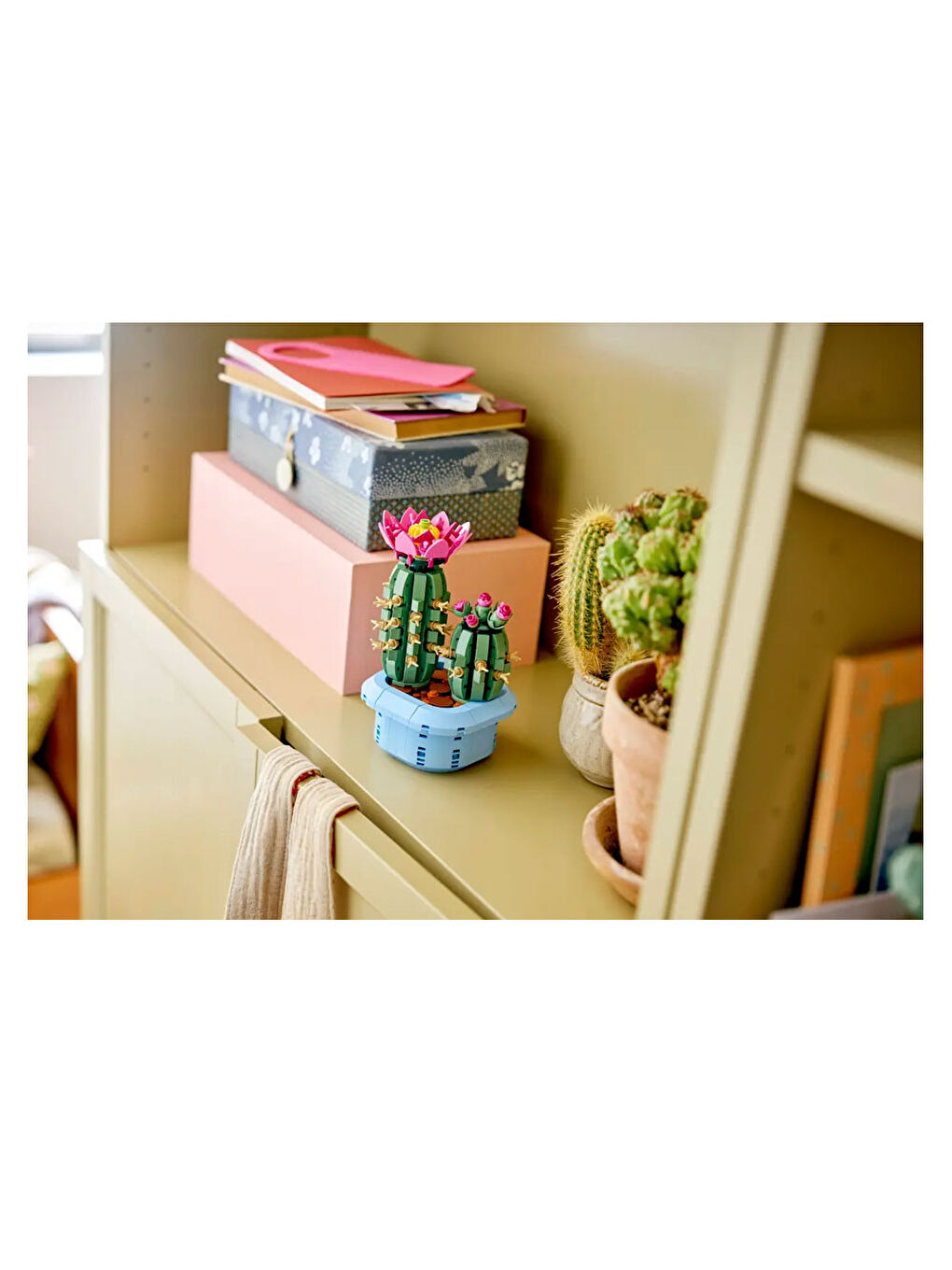 Botanicals Çiçekli Kaktüs 11509-6