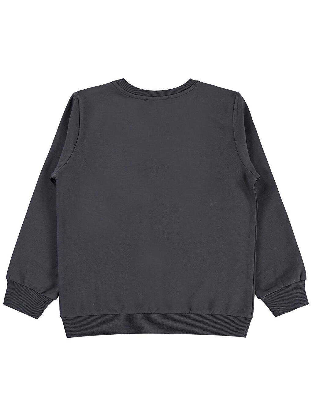 Antrasit Girls 6-9 Yaş Sweatshirt - Gri-1