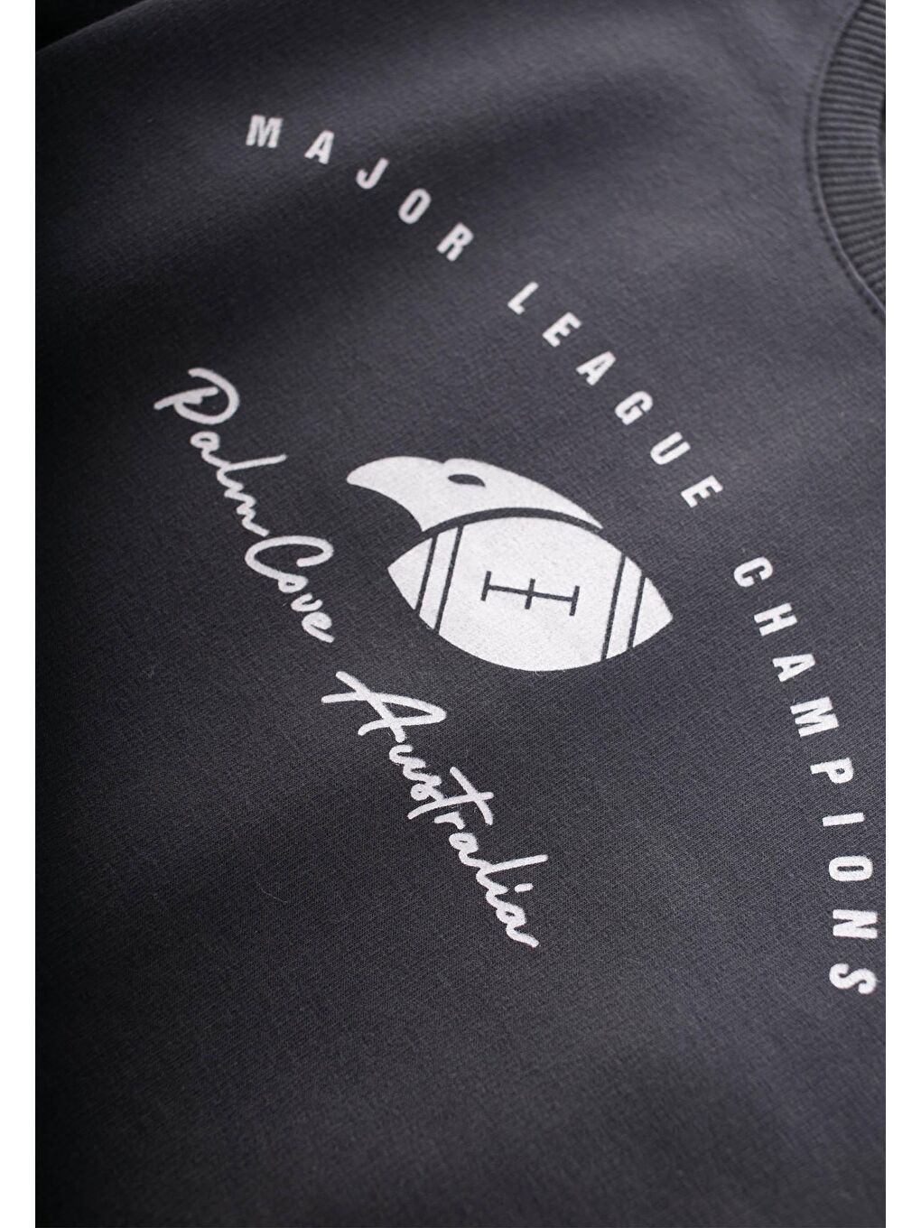 Baskılı Sweatshirt Takım 2-10 Yaş Antrasit-2