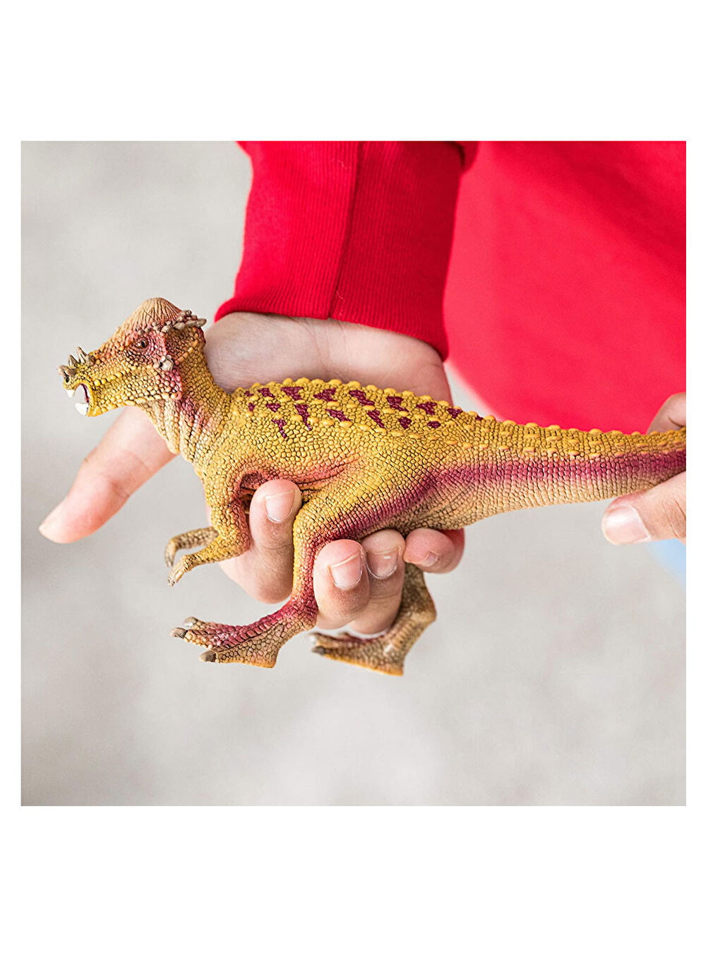 Schleich Renksiz Pakisefalozorus 15024 - 1