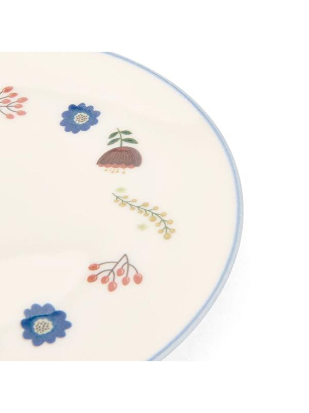 Karışık Gloria Pasta Tabağı - Renkli - 19 cm-3