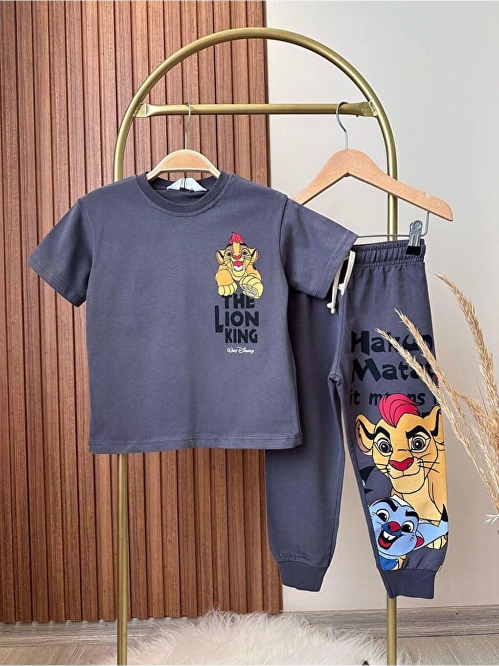 Erkek Çocuk Pamuklu Antrasit Aslan Baskılı Tişört Eşofman Takım - Jogger Alt Parçalı-2