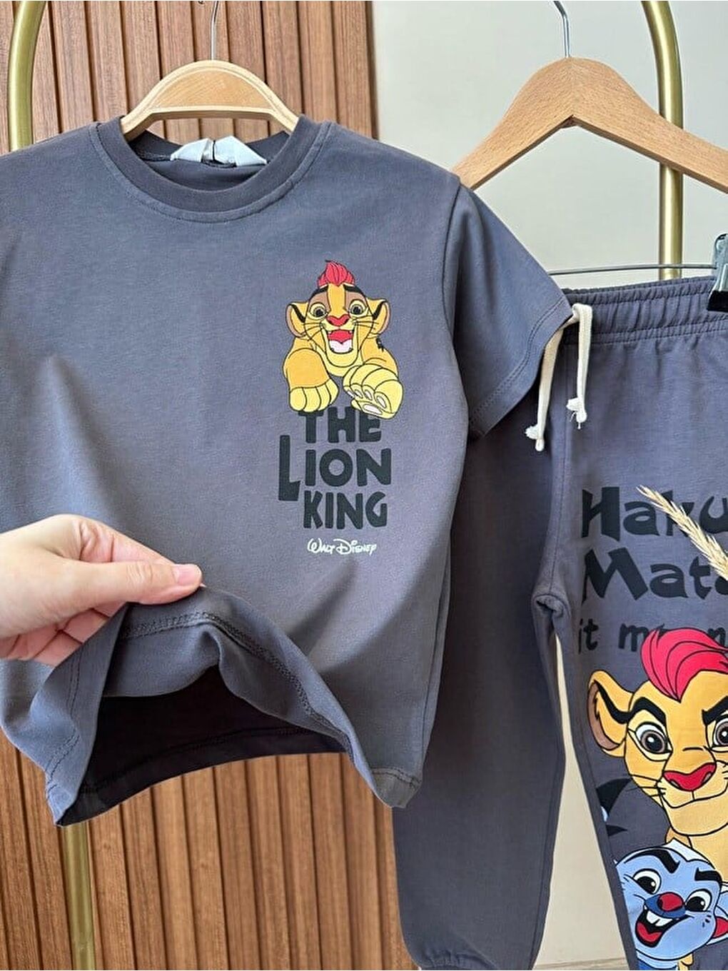 Erkek Çocuk Pamuklu Antrasit Aslan Baskılı Tişört Eşofman Takım - Jogger Alt Parçalı-3