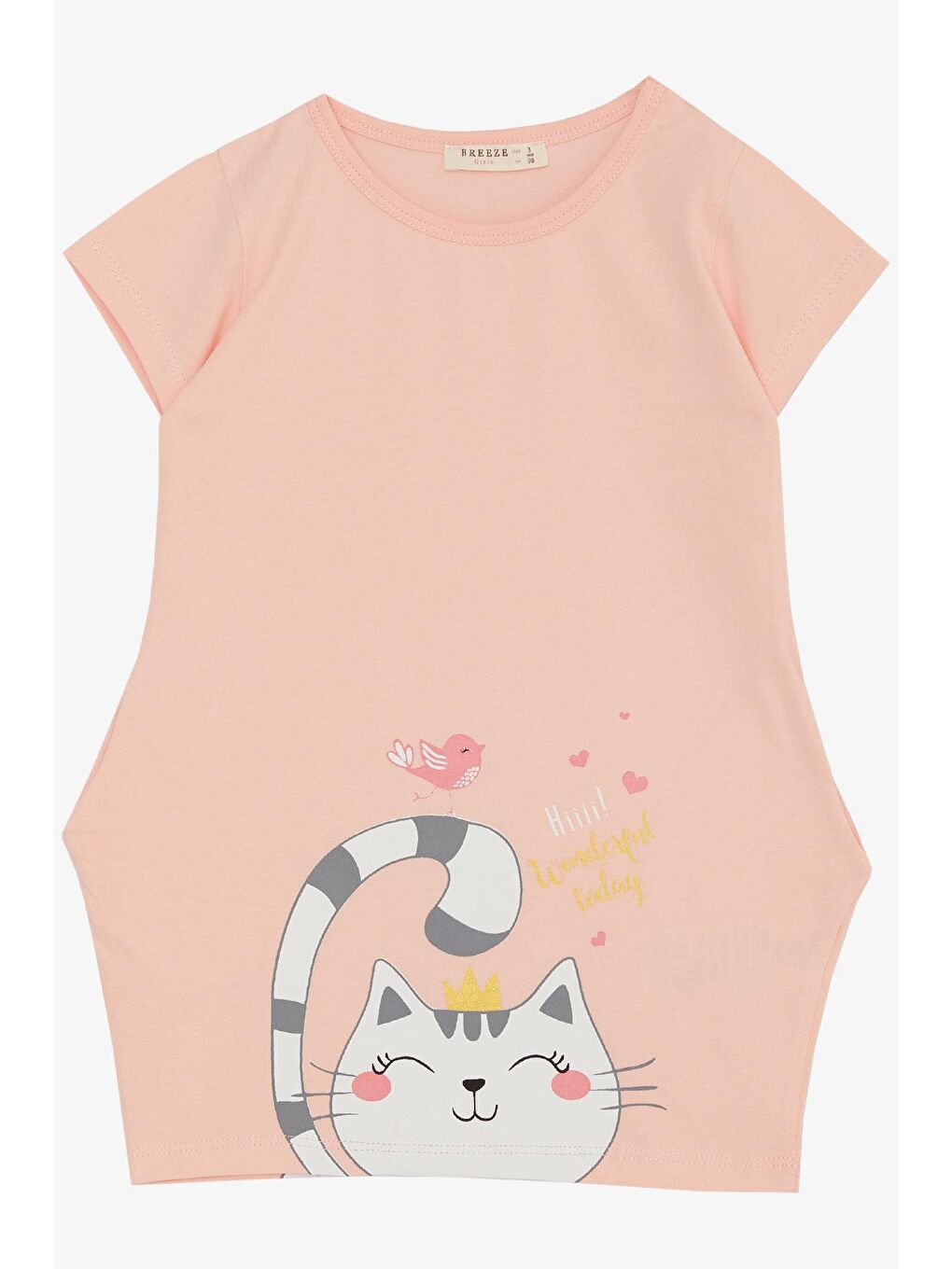 Pembe Kız Çocuk Tunik Elbise Dostluk Temalı Prenses Kedicik Baskılı Pudra (1.5-5 Yaş)-3
