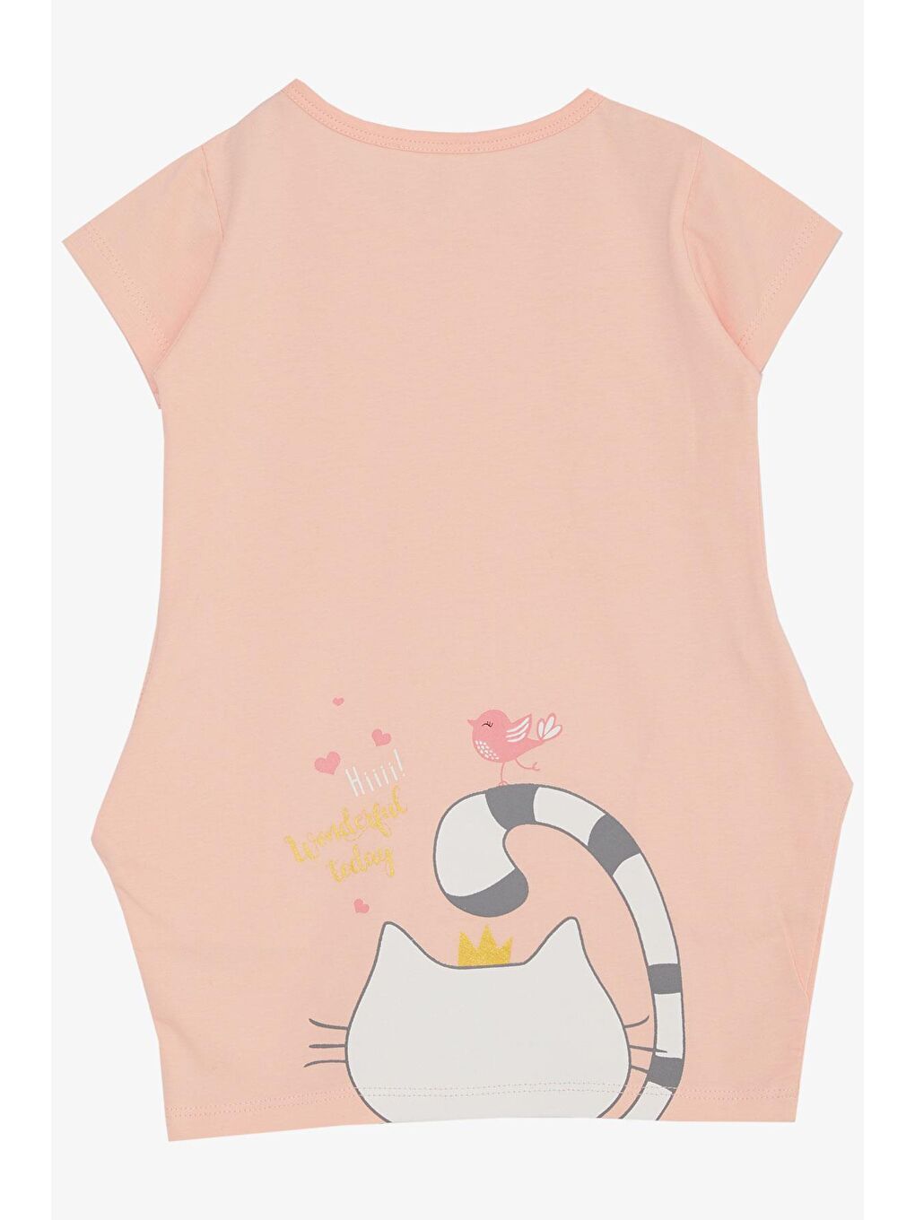 Pembe Kız Çocuk Tunik Elbise Dostluk Temalı Prenses Kedicik Baskılı Pudra (1.5-5 Yaş)-2