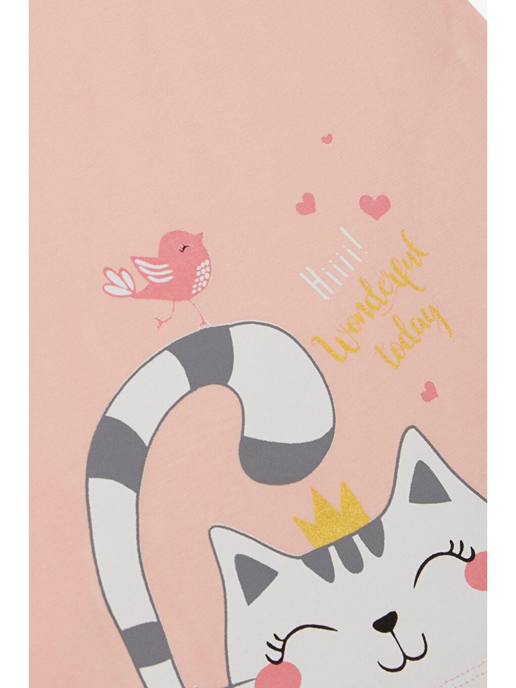 Pembe Kız Çocuk Tunik Elbise Dostluk Temalı Prenses Kedicik Baskılı Pudra (1.5-5 Yaş)