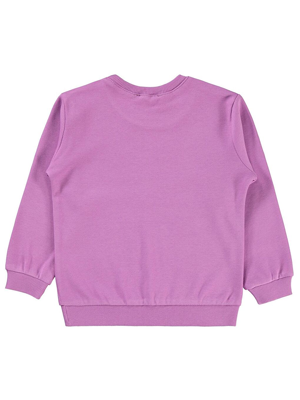 Lila Girls Kız Çocuk Sweatshirt 2-5 Yaş Dikkatli Leylak-1