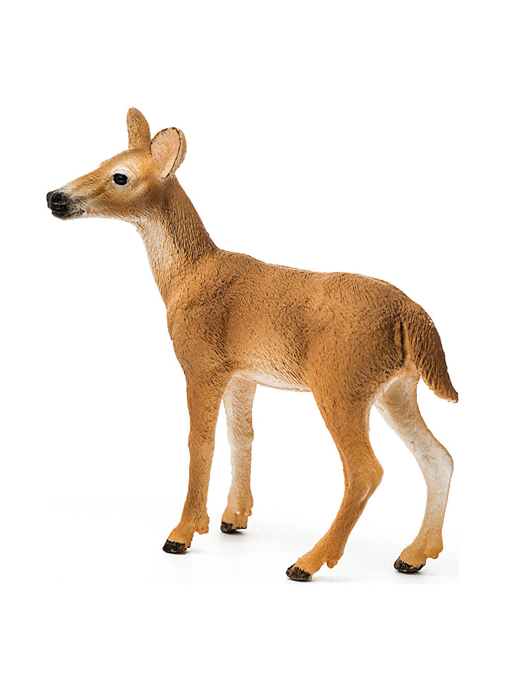 Beyaz Kuyruklu Karaca 14819-1