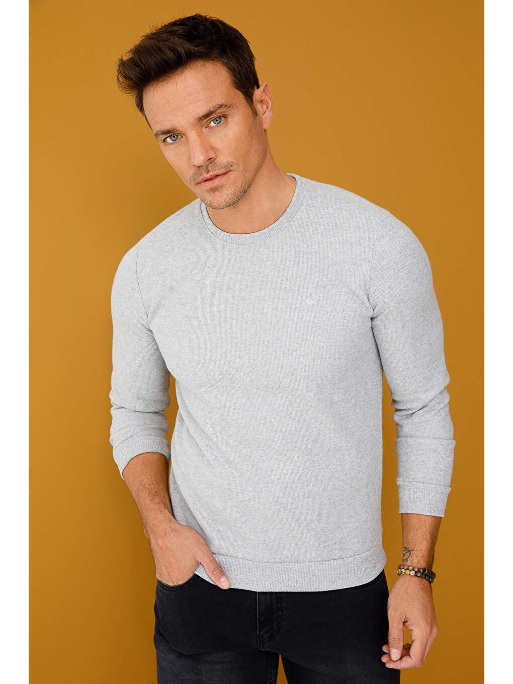 Gri Regular Fit Rahat Kalıp Bisiklet Yaka Düz Uzun Kollu Triko-7