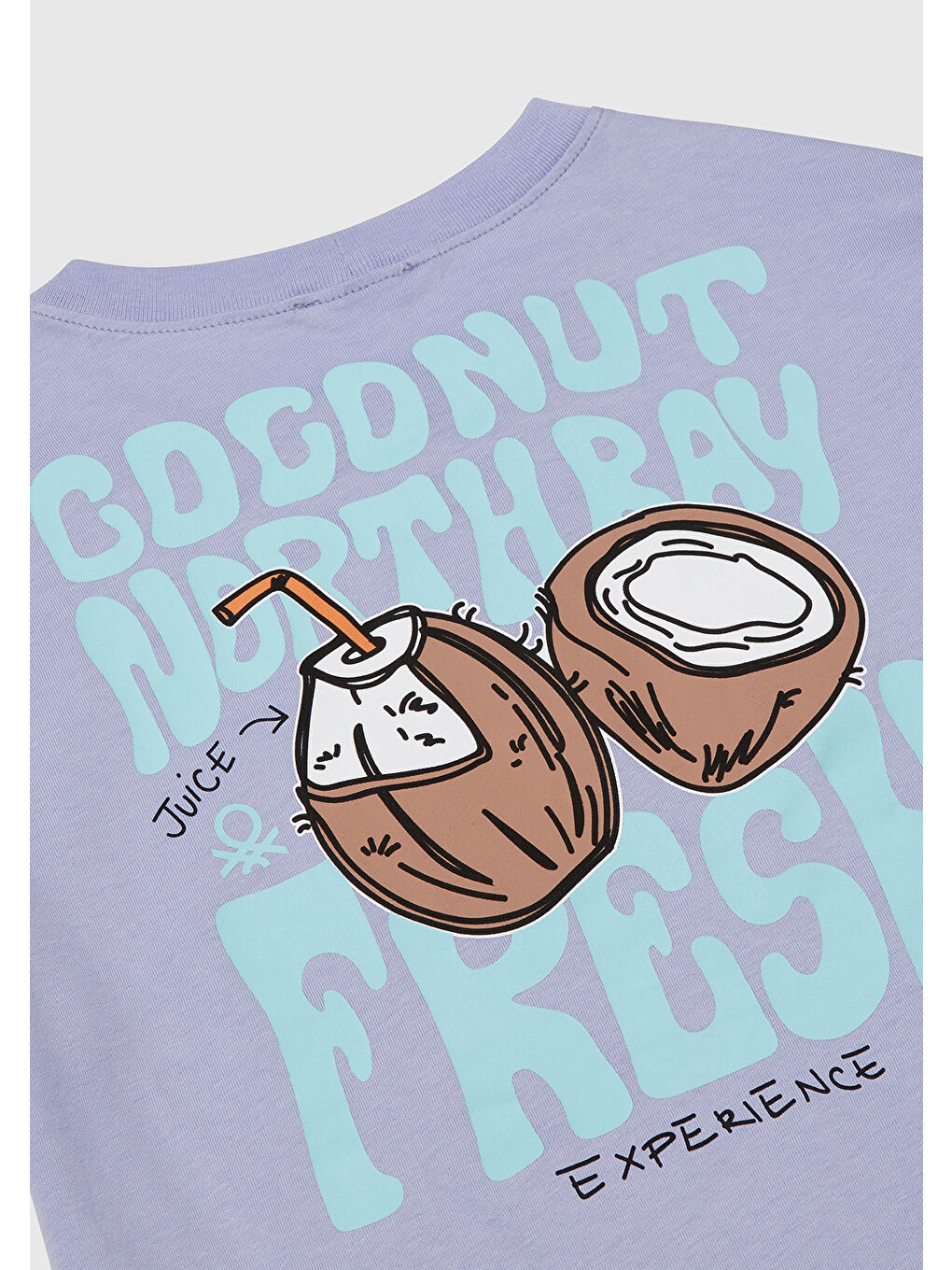 Erkek Çocuk Mor Slogan Baskılı T-Shirt-2