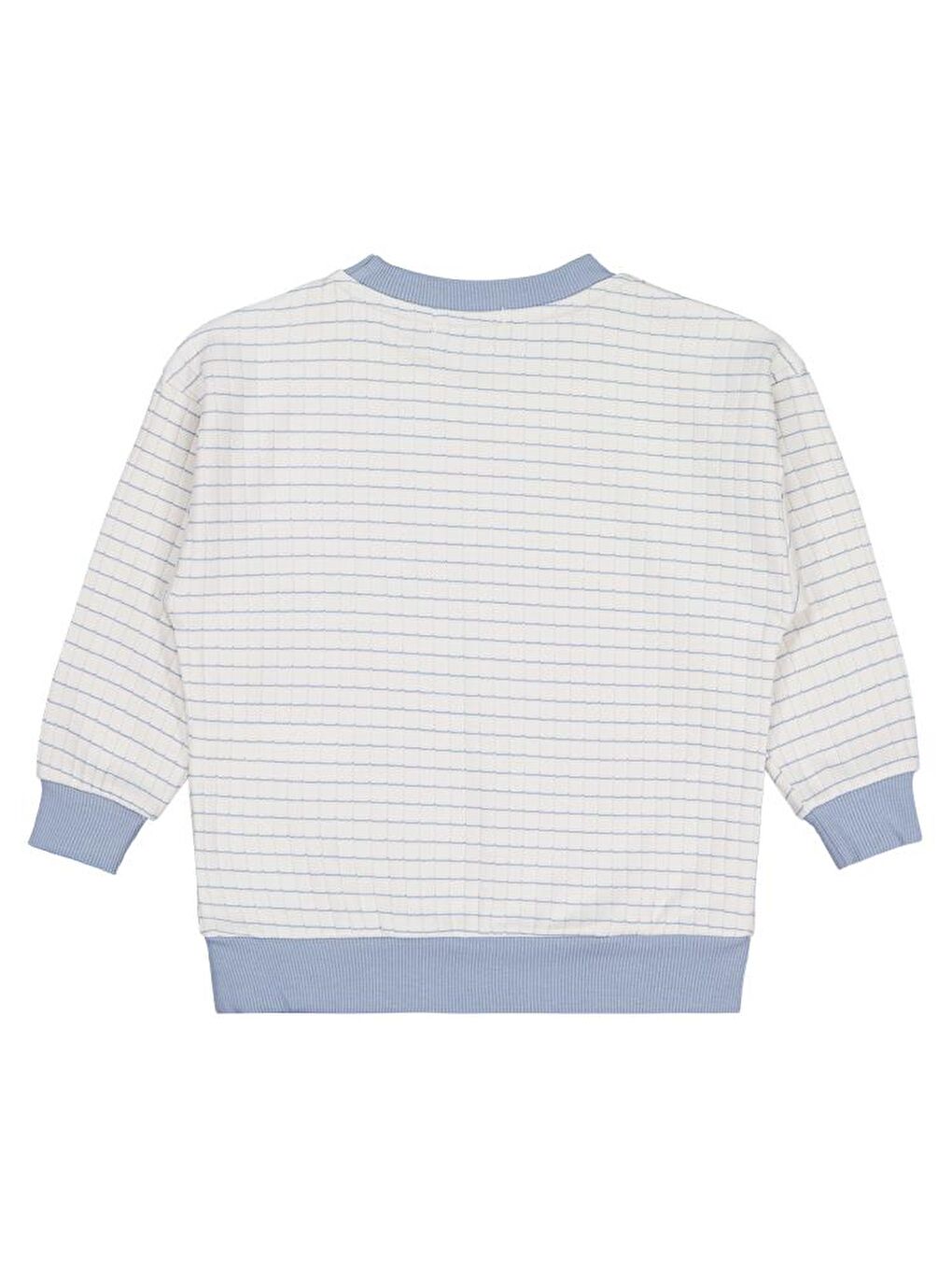 Boys Aslan Nakışlı 2-5 Yaş Sweatshirt - Mavi 3-4 Yaş-1