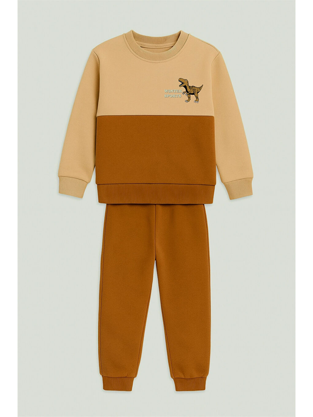 Kahverengi Winter Sport Baskılı Erkek Takım 20105-1