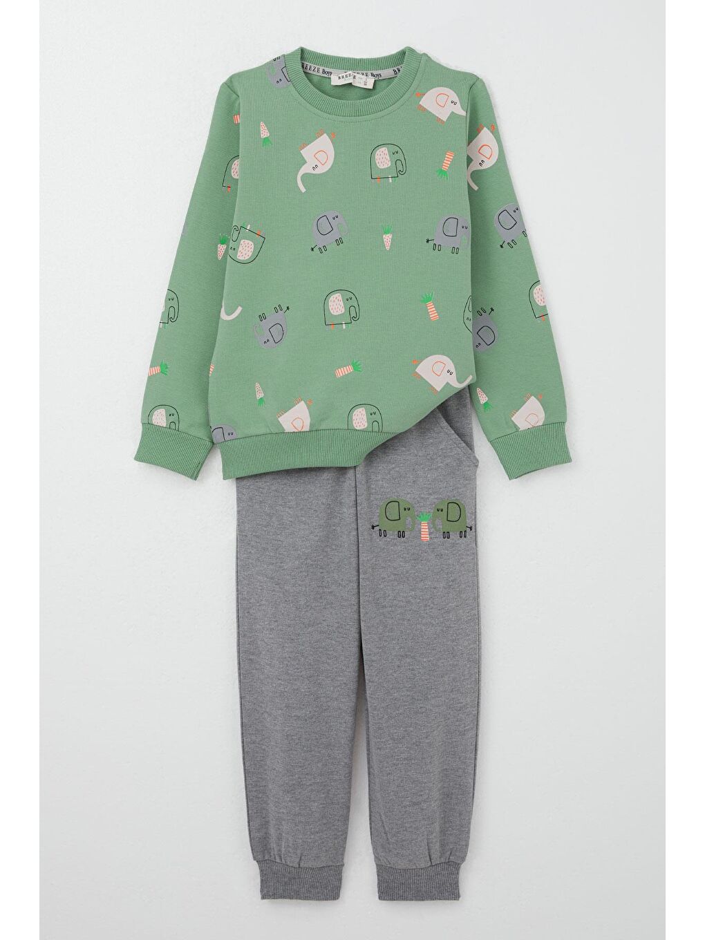 Erkek Çocuk Eşofman Takım Sevimli Fil Desenli Mint Yeşili (1-4 Yaş)
