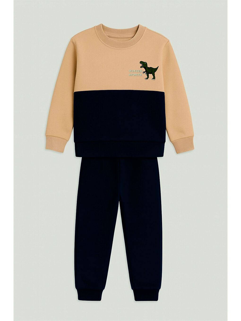 Lacivert Winter Sport Baskılı Erkek Takım 20105-1