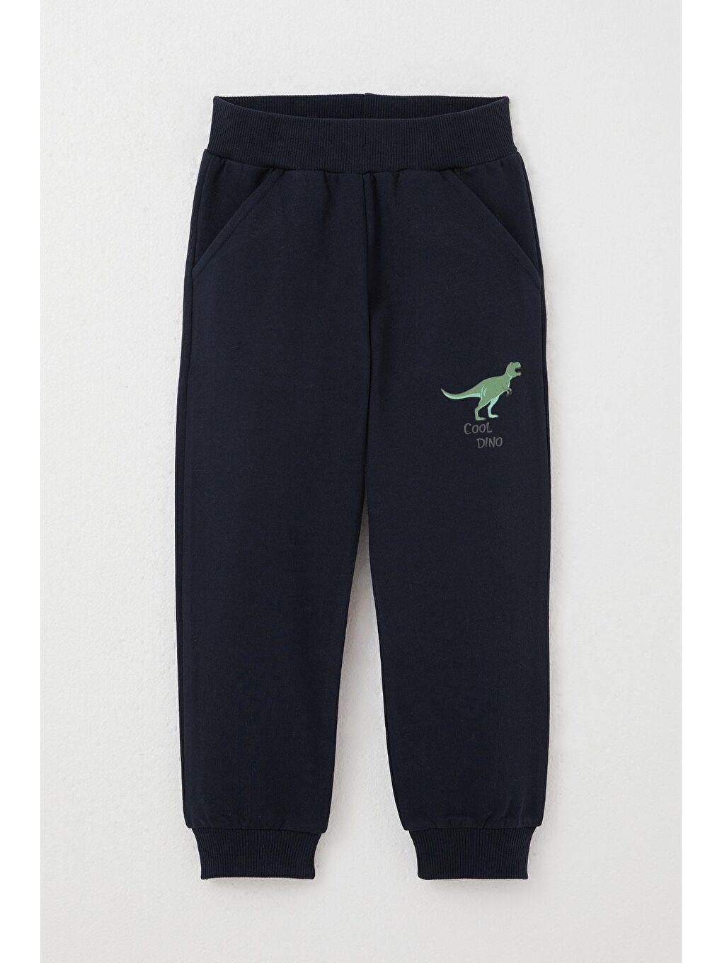 Erkek Çocuk Eşofman Takım Dinozorlar Alemi Mint Yeşili (2 Yaş)-2