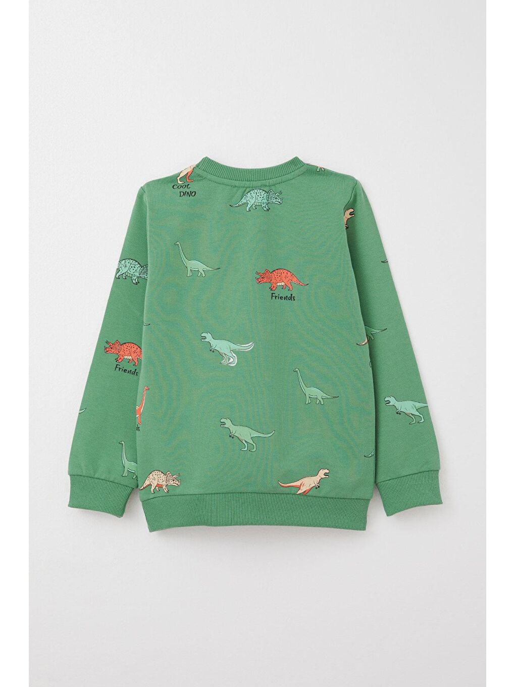 Erkek Çocuk Eşofman Takım Dinozorlar Alemi Mint Yeşili (2 Yaş)-3