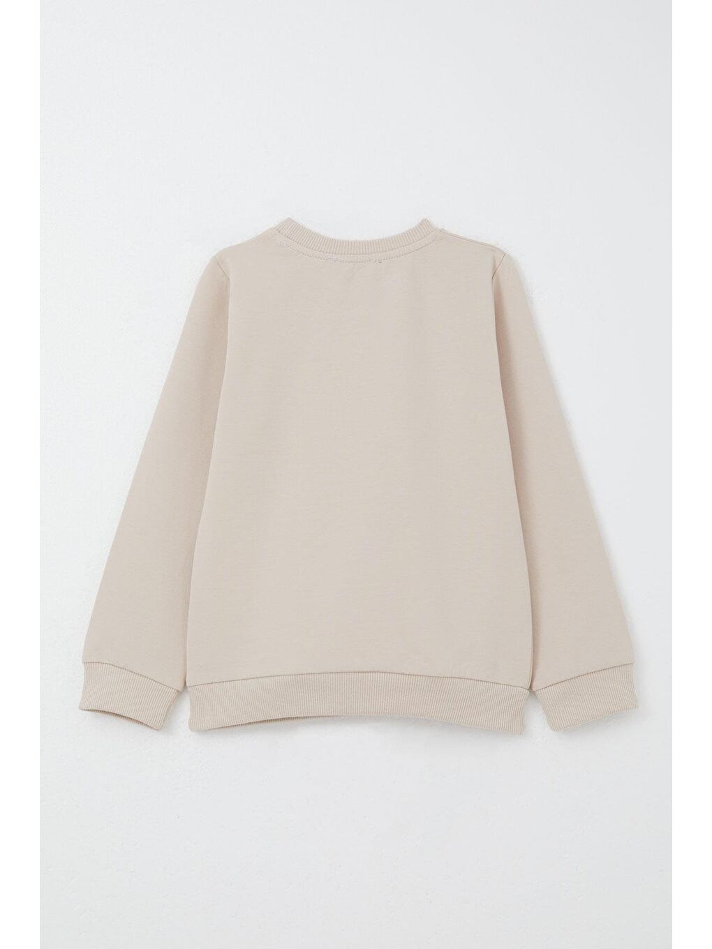 Erkek Çocuk Eşofman Takım Sevimli Rakun Baskılı Bej (1.5-4 Yaş)-3