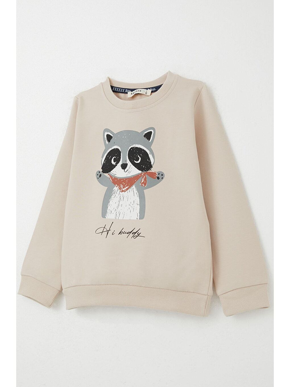 Erkek Çocuk Eşofman Takım Sevimli Rakun Baskılı Bej (1.5-4 Yaş)-5