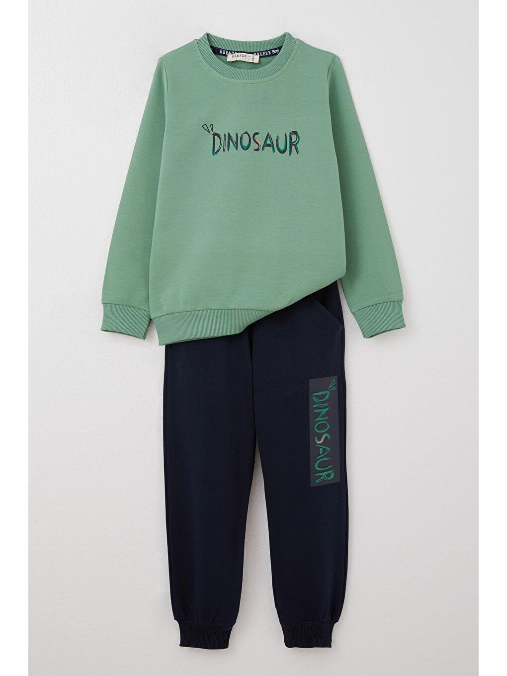 Erkek Çocuk Eşofman Takım Sırt Kısmı Eğlenceli Dinozor Baskılı Mint Yeşili (3-5 Yaş)