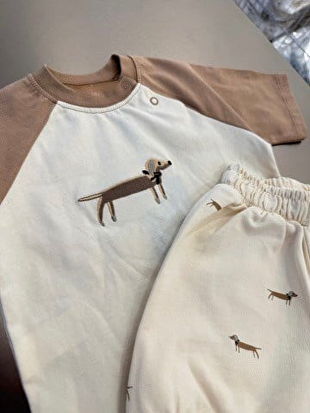 Karışık Unisex Çocuk Pamuklu Ekru Bej Köpek Nakışlı Tişört Şort Takım-3