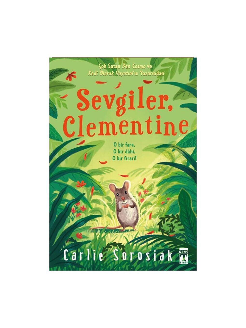 Sevgiler Clementine - Carlie Sorosiak KTP