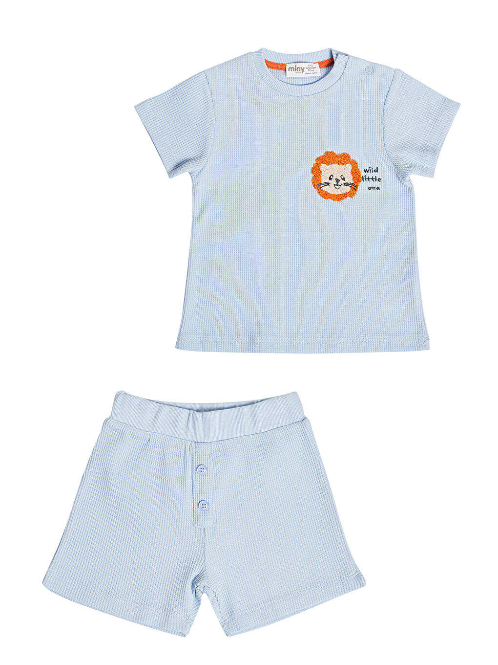 Mavi Erkek Bebek Ikılı Takım-2