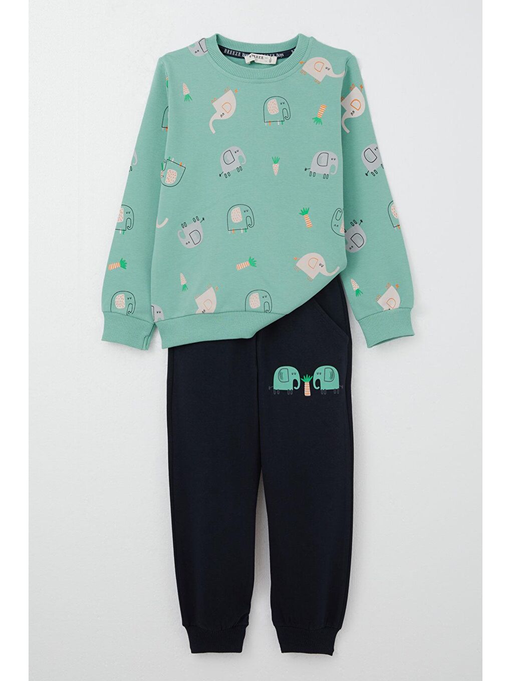 Turkuaz Erkek Çocuk Eşofman Takım Sevimli Fil Desenli Su Yeşili (1-4 Yaş)