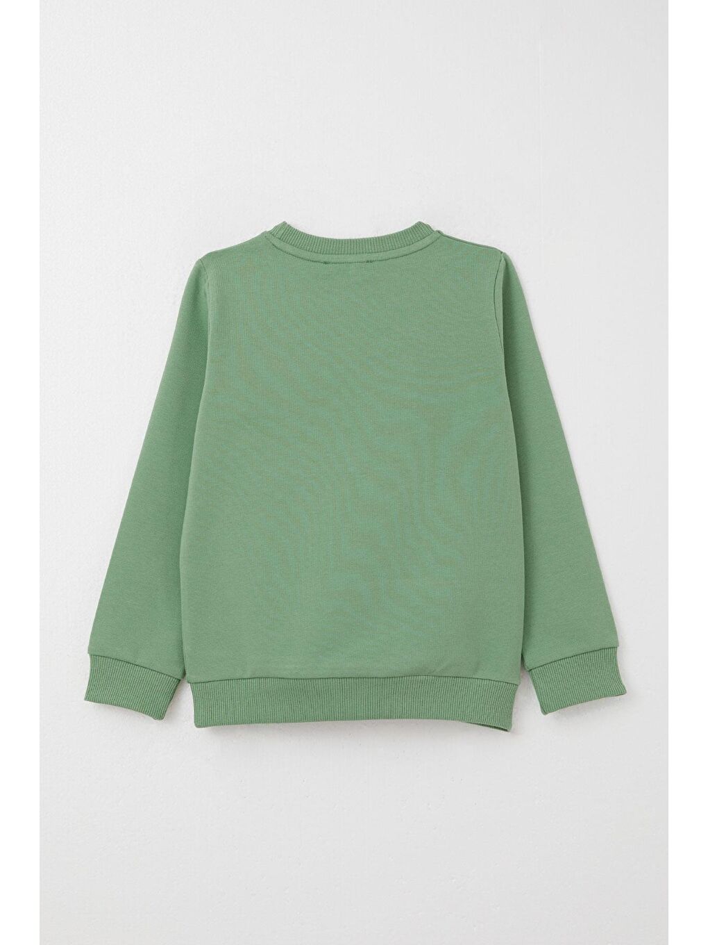 Erkek Çocuk Eşofman Takım Havalı Ayıcık Baskılı Mint Yeşili (3 Yaş)-3