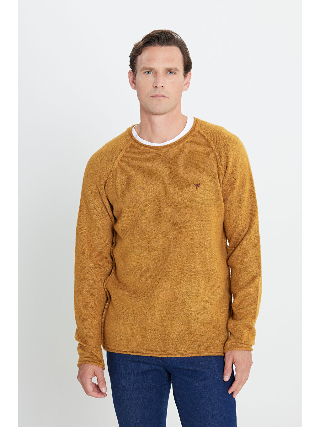 Sarı Erkek Hardal Standart Fit Normal Kesim Bisiklet Yaka Triko Kazak-2