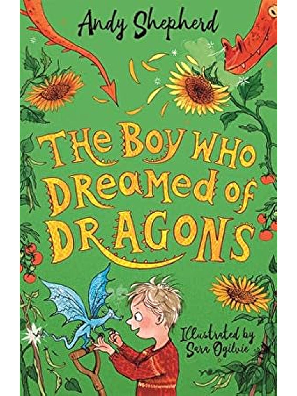 Boy Who Dreamed Of Dragons