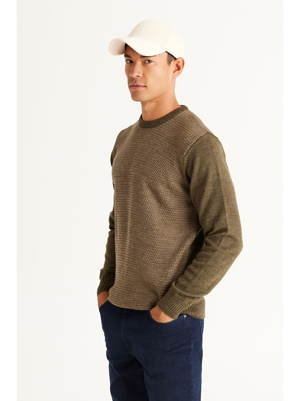 Erkek Haki-Bej Standart Fit Normal Kesim Bisiklet Yaka Petek Desenli Triko-1